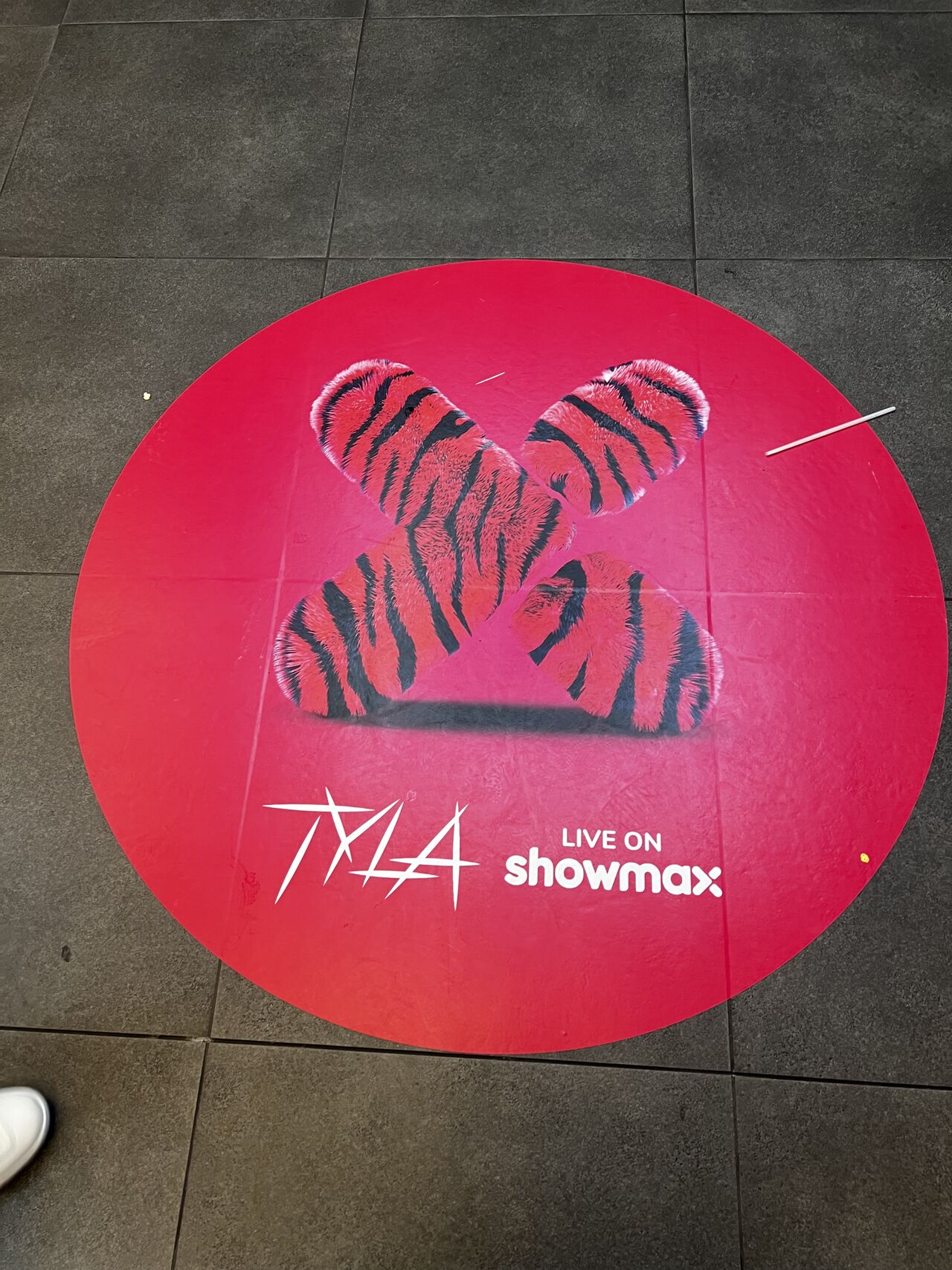 Tyla’s Homecoming Concert on Showmax: A Star-Studded Night with a Soundtrack of Glitz, Glam, and… Well, Some Technical Difficulties!